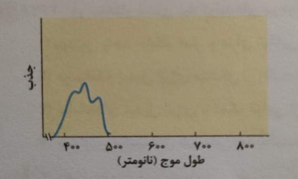 دریافت سوال 6