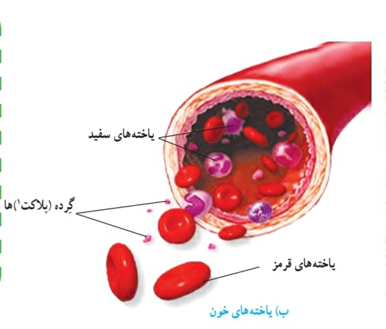 دریافت سوال 20