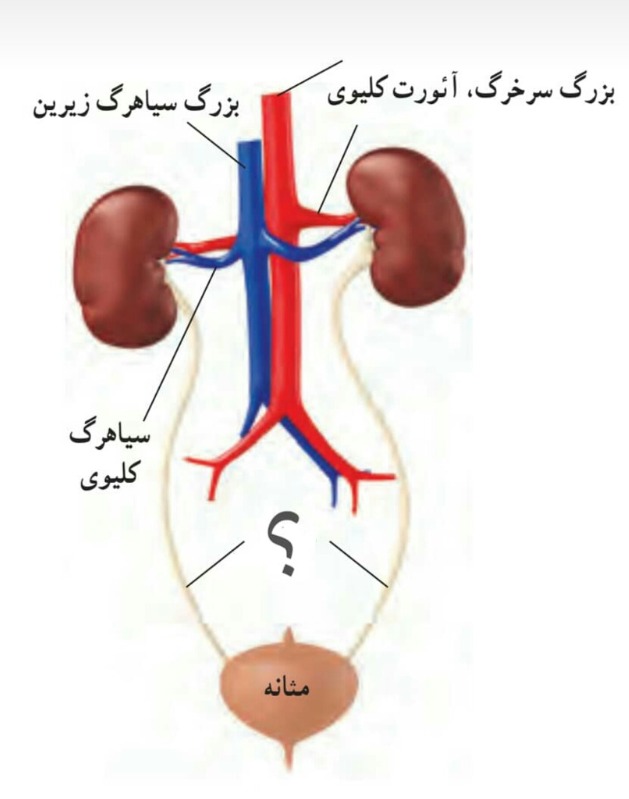 دریافت سوال 13