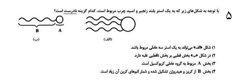 دریافت سوال 8