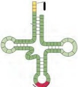 دریافت سوال 5