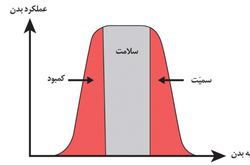 دریافت سوال 5