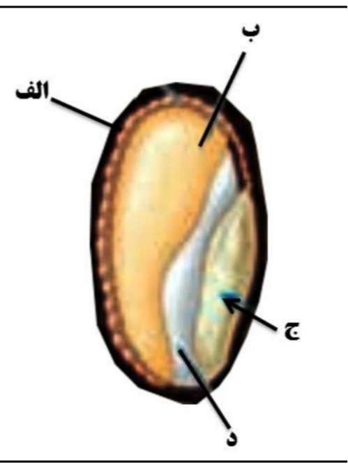 دریافت سوال 25