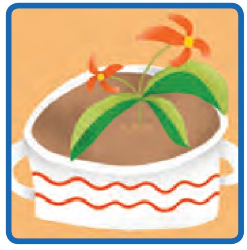 دریافت سوال 11