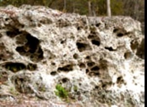 دریافت سوال 19