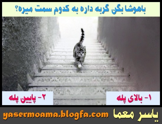 دریافت سوال 1