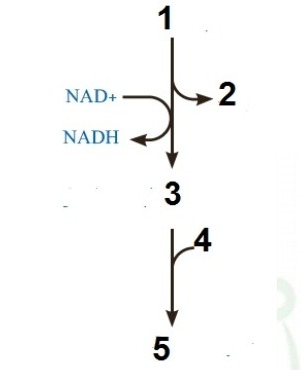 دریافت سوال 5