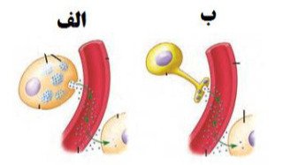 دریافت سوال 7