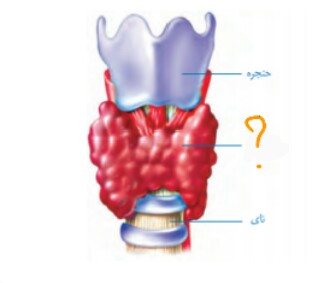 دریافت سوال 34