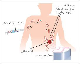 دریافت سوال 15