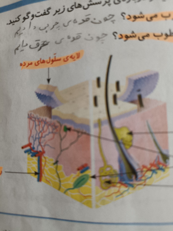 دریافت سوال 7