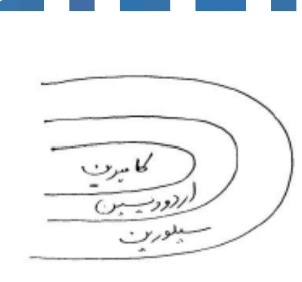 دریافت سوال 17