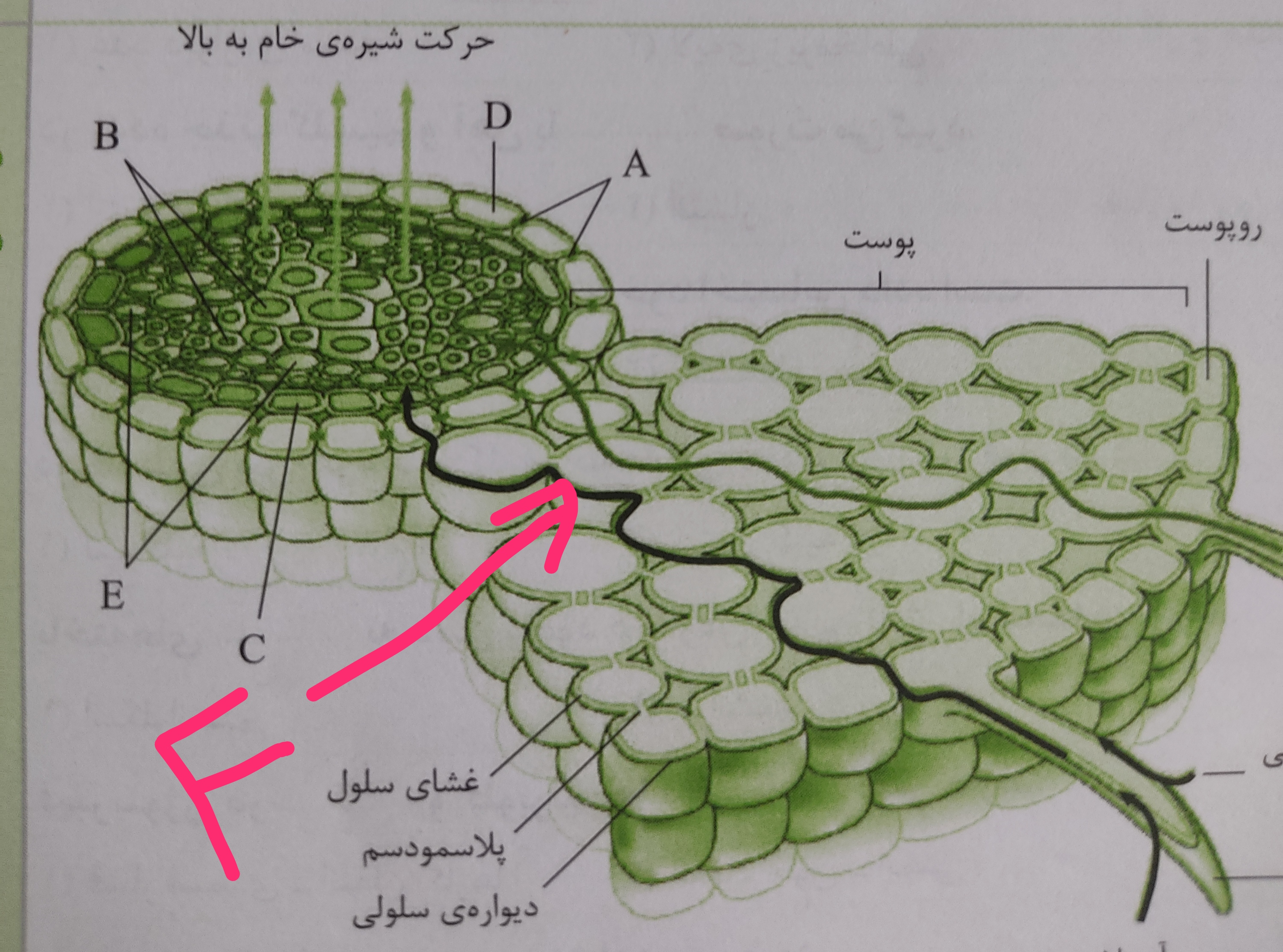 دریافت سوال 22