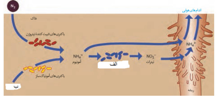 دریافت سوال 45