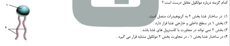 دریافت سوال 1