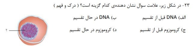 دریافت سوال 23