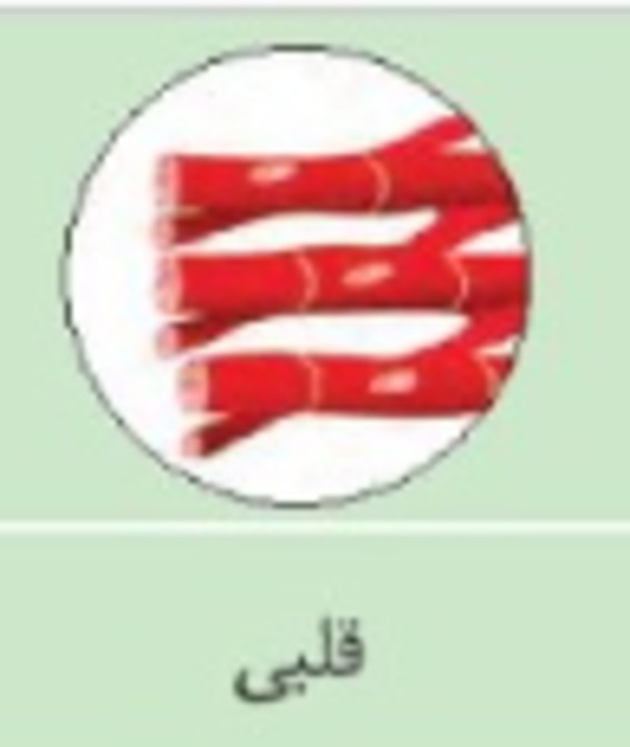 دریافت سوال 6