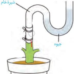 دریافت سوال 10