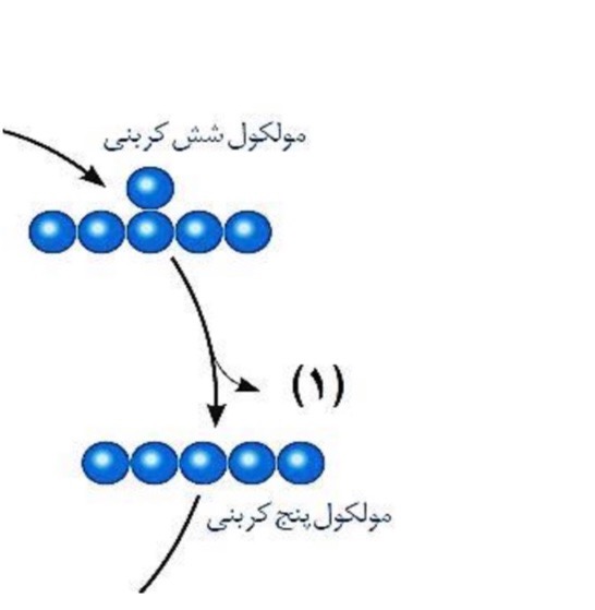 دریافت سوال 26