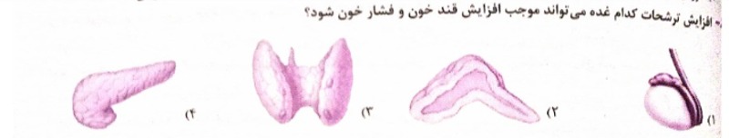 دریافت سوال 10