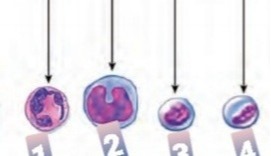 دریافت سوال 6