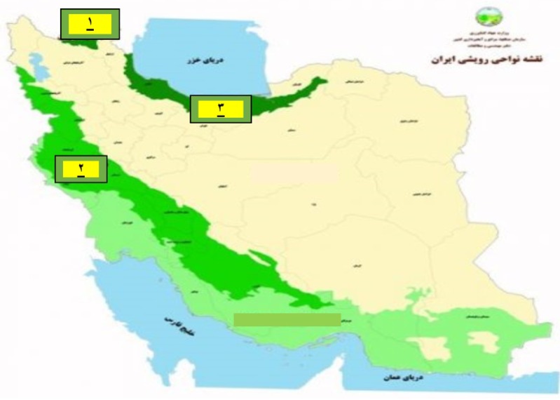 دریافت سوال 19