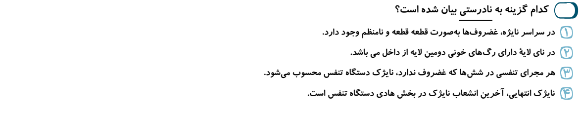 دریافت سوال 31