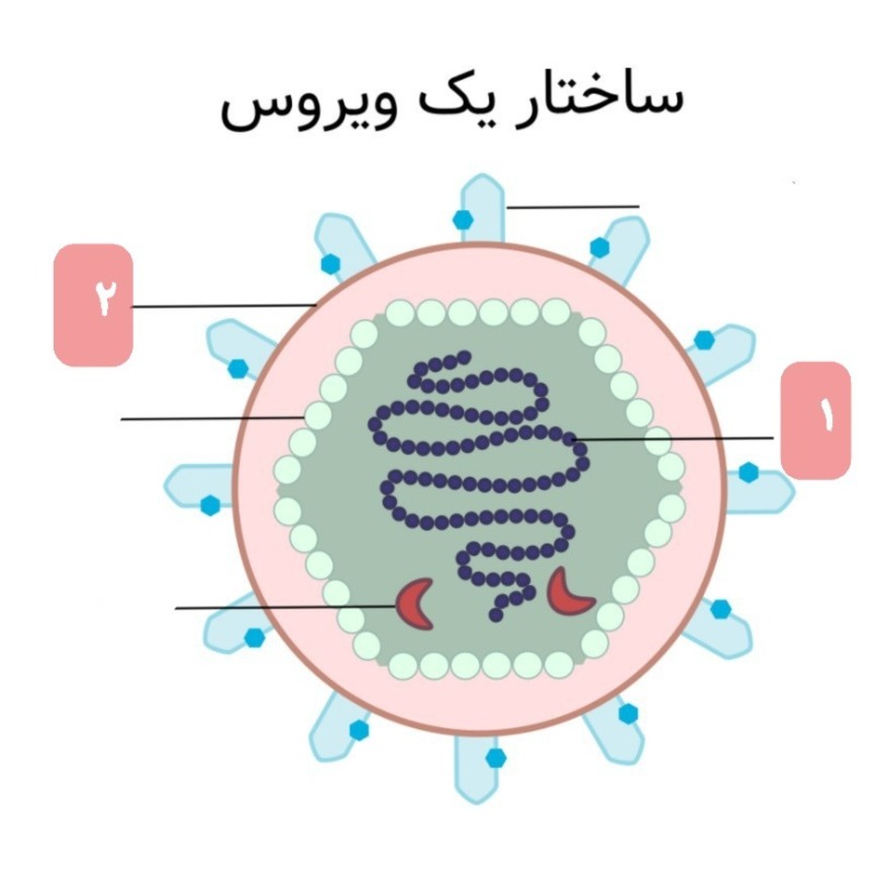 دریافت سوال 5