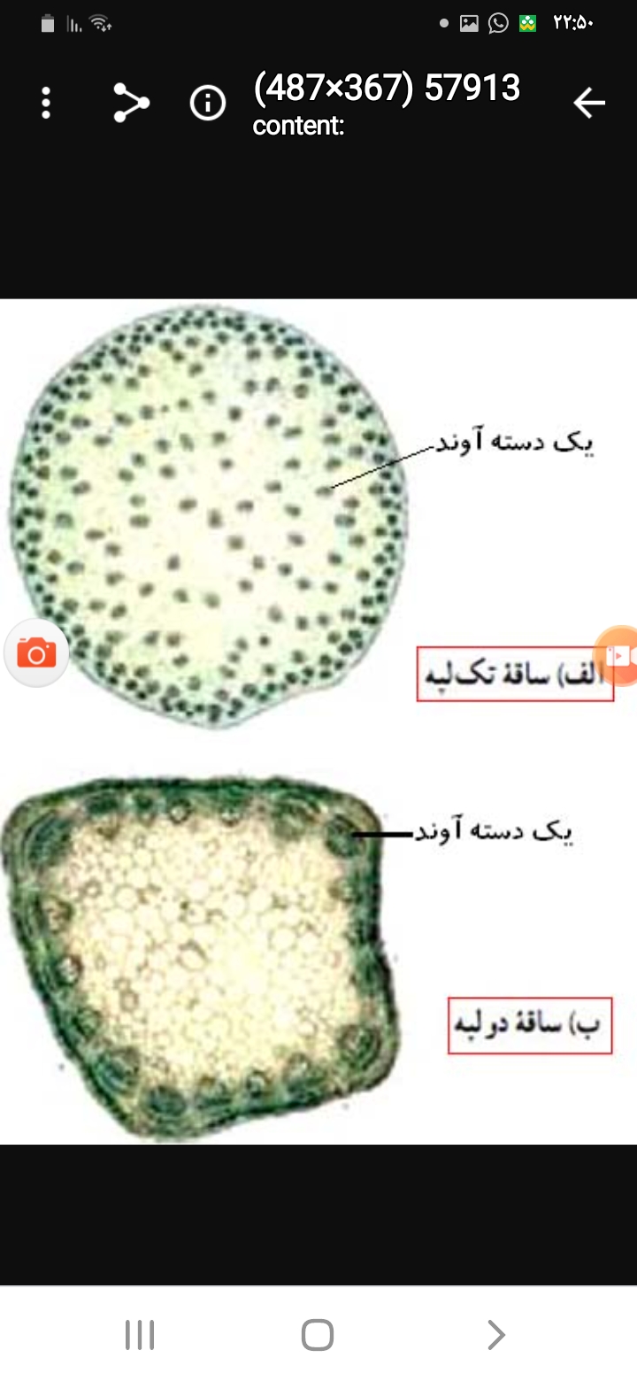 دریافت سوال 28