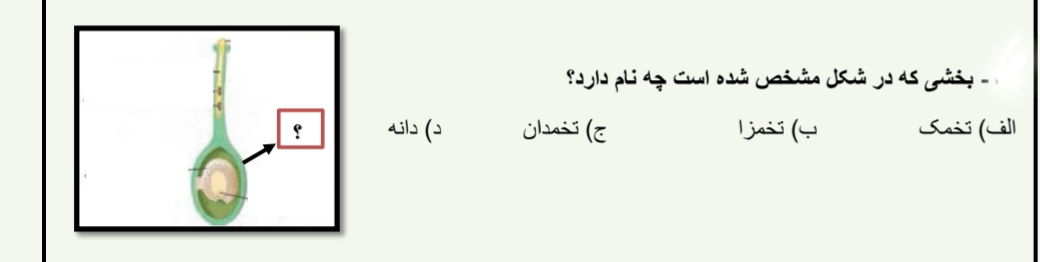 دریافت سوال 4