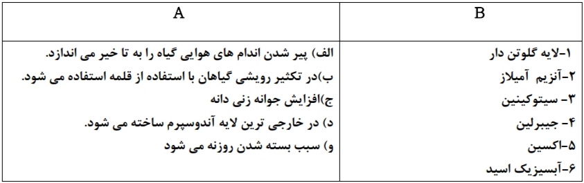 دریافت سوال 15