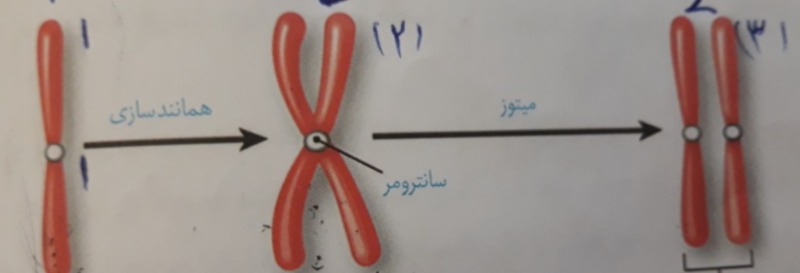 دریافت سوال 13