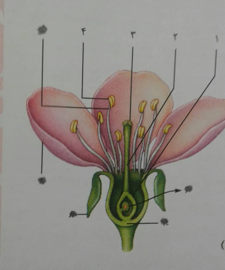 دریافت سوال 20