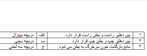 دریافت سوال 20