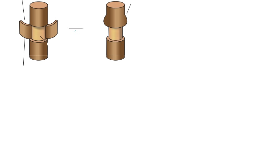 دریافت سوال 43