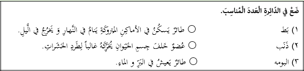 دریافت سوال 12