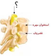 دریافت سوال 4