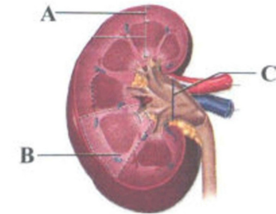 دریافت سوال 2