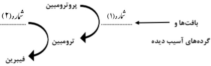 دریافت سوال 29