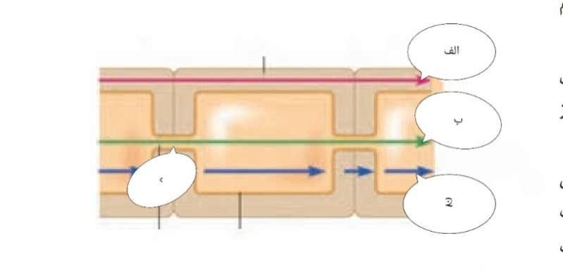 دریافت سوال 36