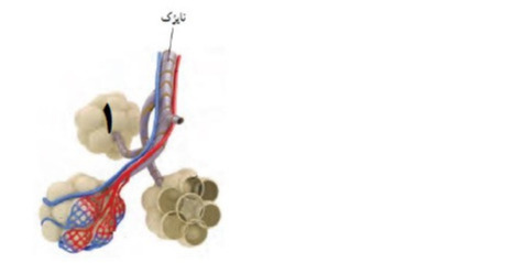 دریافت سوال 24