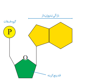 دریافت سوال 9