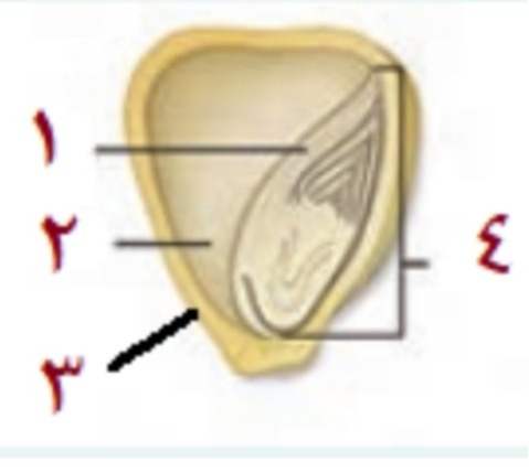 دریافت سوال 38