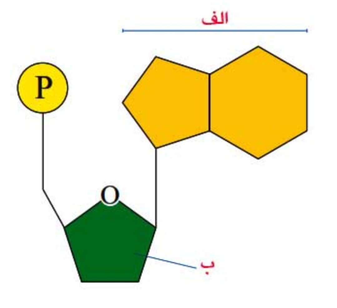 دریافت سوال 10