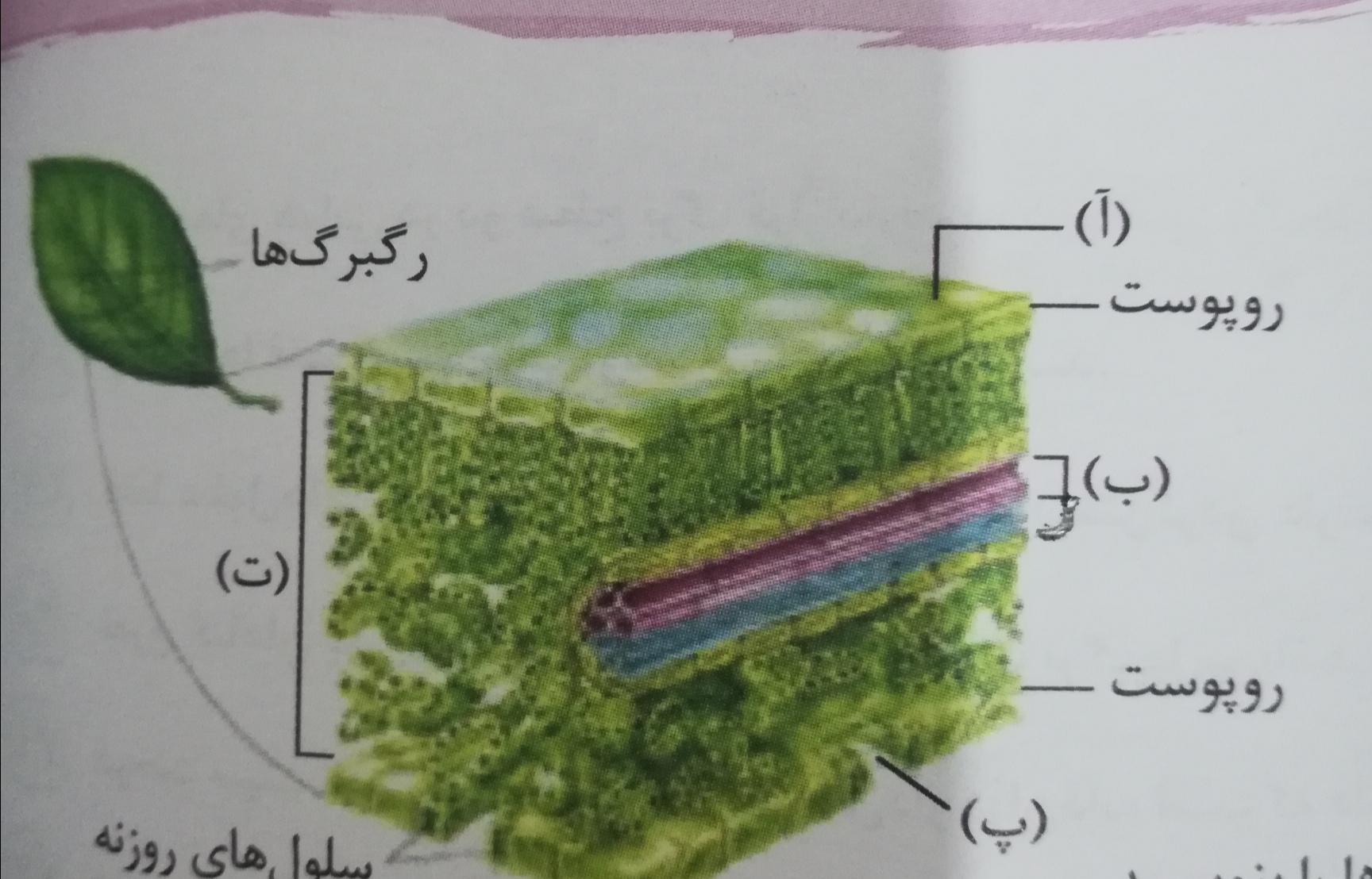 دریافت سوال 12