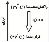 دریافت سوال 14