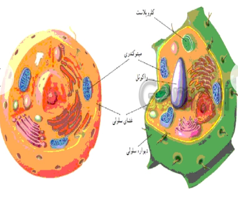 دریافت سوال 21