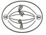 دریافت سوال 6