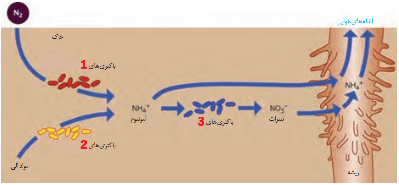 دریافت سوال 48