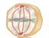 دریافت سوال 11